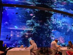-迪拜帆船酒店海底餐厅