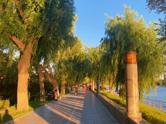 -长春市南湖公园