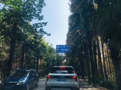 -上海海湾国家森林公园