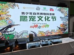 -中国宋庆龄青少年科技文化交流中心