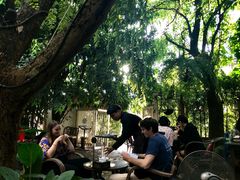 -Fern Forest Cafe