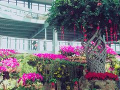 -南通洲际绿博园