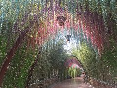 -郑州方特水上乐园