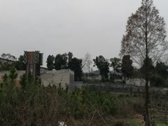 -曾侯乙墓遗址博物馆