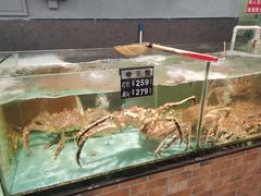 -九號渔港·蒸汽海鲜·粤菜茶点(八卦岭店)