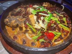 老板恋上鱼-老板恋上鱼(恒隆广场店)