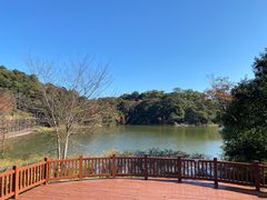 -广州市石门国家森林公园