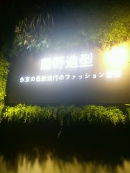 点击看大图 -藤野造型