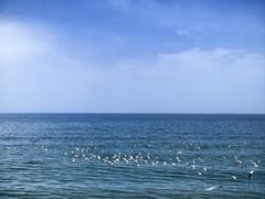 -青海湖国家重点风景名胜区