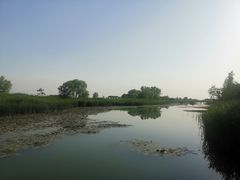 -苏州太湖湖滨国家湿地公园