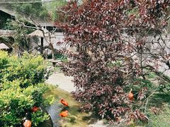 -上海野生动物园