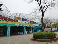 -海合安武汉极地海洋公园
