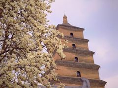 -大慈恩寺(大雁塔)