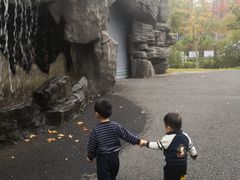 -自然谷恐龙园