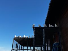 -良渚古城遗址公园