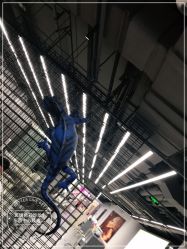-斑斓色彩沙龙