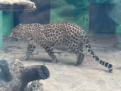 -昆明动物园