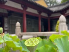 -灵谷景区