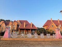 -大塘金香草谷
