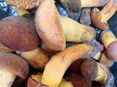 -双喜农庄·菌香园(安居家园店)