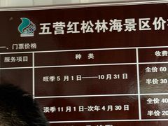 -五营红松林海景区
