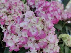 -名创优品(天河区正佳广场二店)