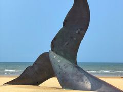 -烟台金沙滩海滨公园