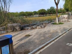 -太阳宫公园