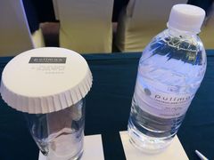 -无锡新湖铂尔曼大酒店