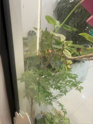 -美兮美学·日式艺术美甲美睫