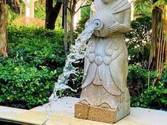 -苏州湾·王焰温泉