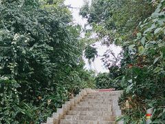 -九龙公园
