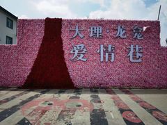 -大理洱海