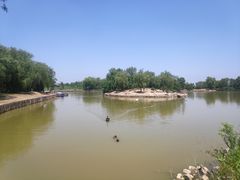 -盐城丹顶鹤湿地生态旅游区