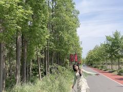 -上海长兴岛郊野公园