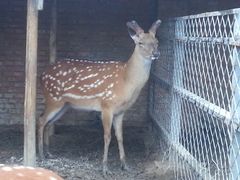 -意大利农场度假村