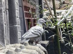 -老张烤羊(王哥庄店)