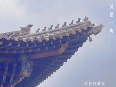 -大槐树寻根祭祖园