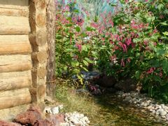 -武清南湖绿博园