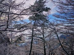 -崂山巨峰游览区