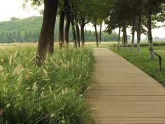 -汉长安城未央宫国家考古遗址公园