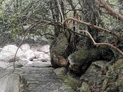 -鄣山大峡谷