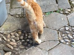 -田德能咖啡博物馆