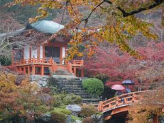 -醍醐寺