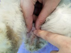 -雨林宠物医院 非犬猫异宠专科