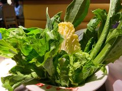-季季红火锅(动壹店)