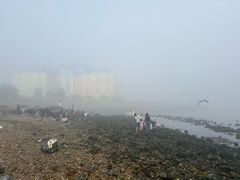 -黑石礁公园