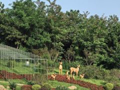 -大连森林动物园