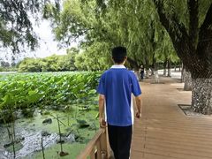 -长春市南湖公园