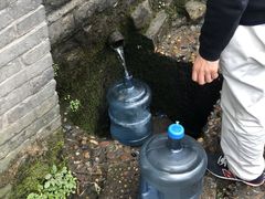 -清泉馆(望江路店)
